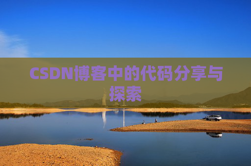 CSDN博客中的代码分享与探索